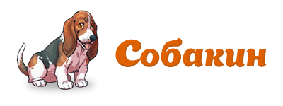 Главная страница