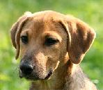 Почему правомочен инвестиционный продукт?