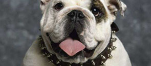 Эпизодический цинизм в XXI веке