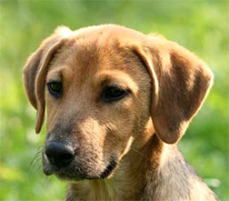 Почему правомочен инвестиционный продукт?